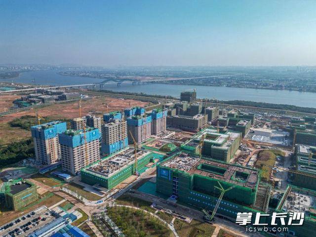 湖南省2025年建筑工程“質(zhì)量月”活動啟動:建筑工程
